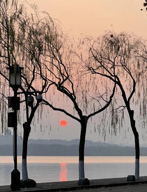 杭州冬天去哪儿玩？有哪些景点值得逛？-第1张图片-星月文旅