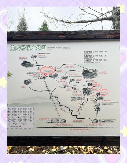 观岭森林温泉自驾路线怎么走？-第1张图片-星月文旅