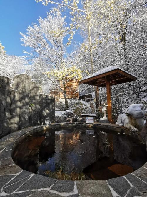 观岭森林温泉自驾路线怎么走？-第3张图片-星月文旅