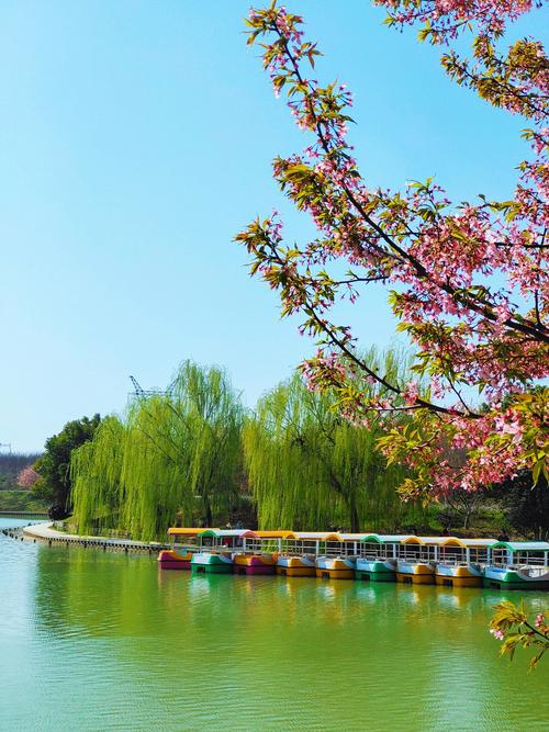 芜湖有哪些必游景点？-第1张图片-星月文旅