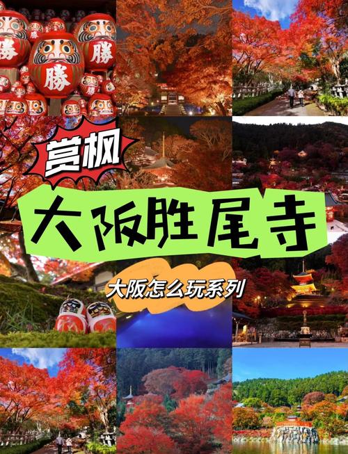 11月日本大阪旅游攻略-第3张图片-星月文旅