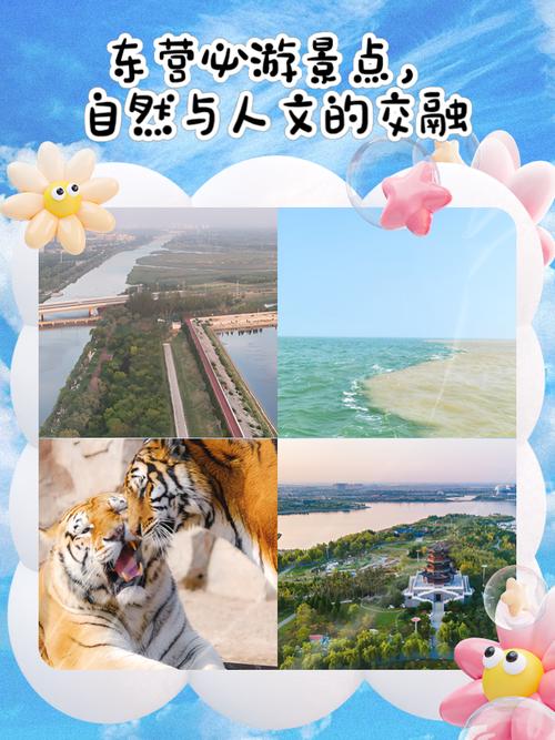 东营有哪些必打卡旅游景点？-第1张图片-星月文旅