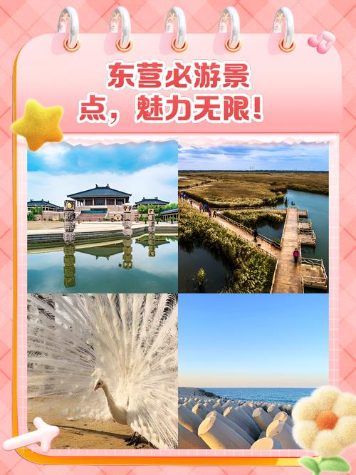 东营有哪些必打卡旅游景点？-第2张图片-星月文旅