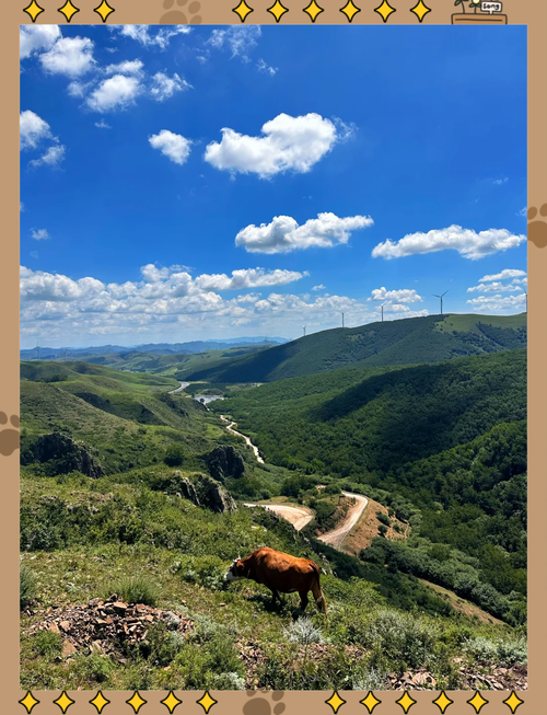 北京自驾天路攻略，怎么规划才最尽兴？-第2张图片-星月文旅