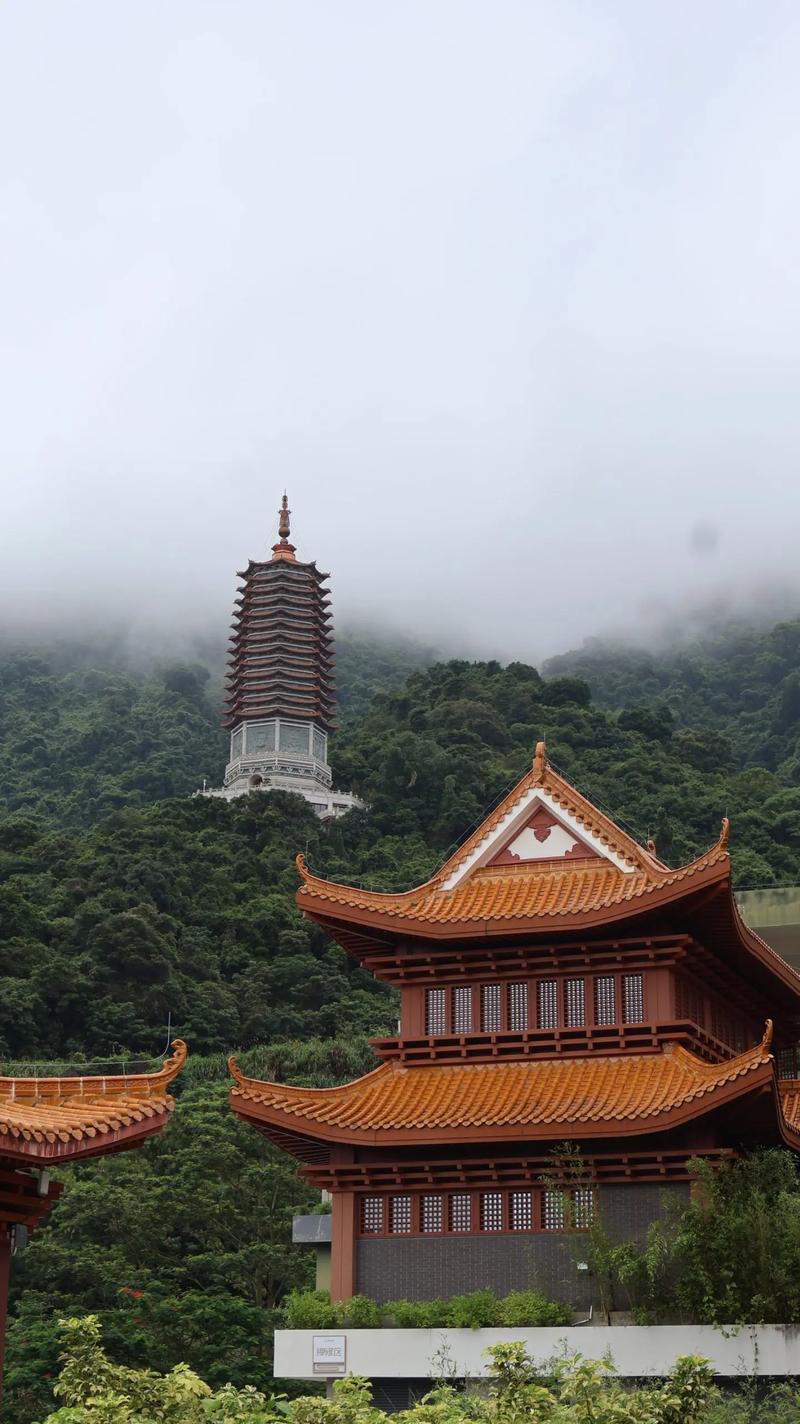 深圳有哪些免费的旅游景点-第1张图片-星月文旅