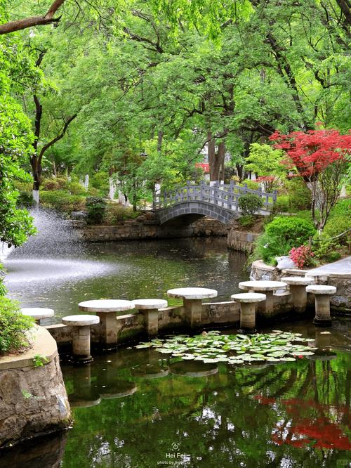 合肥市旅游景点有哪些景点-第3张图片-星月文旅