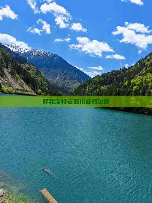 呼和浩特到成都怎么玩？-第2张图片-星月文旅