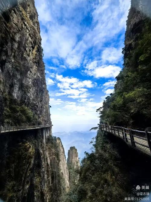 莽山国家森林公园自驾游怎么玩最尽兴？-第2张图片-星月文旅