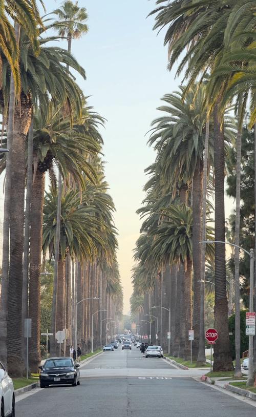 洛杉矶有哪些必打卡景点？-第2张图片-星月文旅