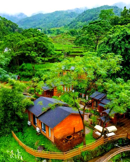 阳春有什么好玩的旅游景点-第2张图片-星月文旅