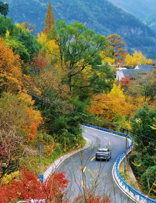 宁波四明山必游景点有哪些？-第1张图片-星月文旅