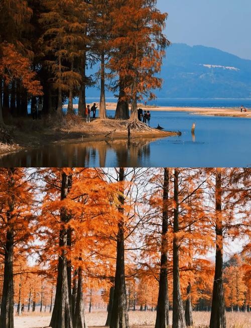 宁波四明山必游景点有哪些？-第2张图片-星月文旅