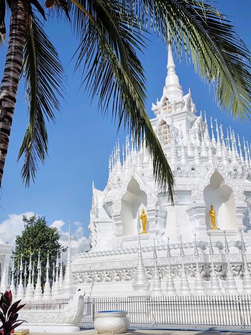 西双版纳旅游景点有哪些值得一去？-第1张图片-星月文旅