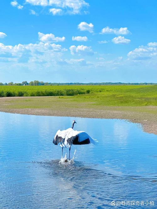 齐齐哈尔有哪些必打卡旅游景点？-第3张图片-星月文旅