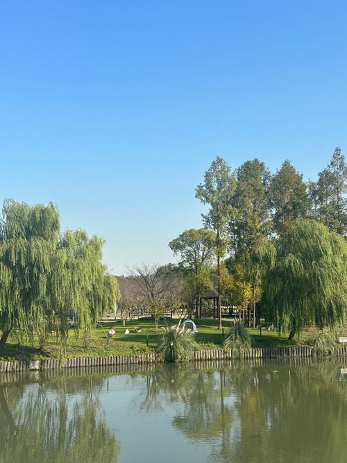 上海宝山顾村公园自驾游-第1张图片-星月文旅