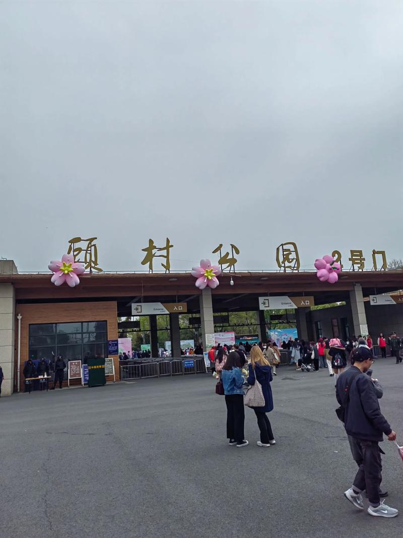 上海宝山顾村公园自驾游-第3张图片-星月文旅