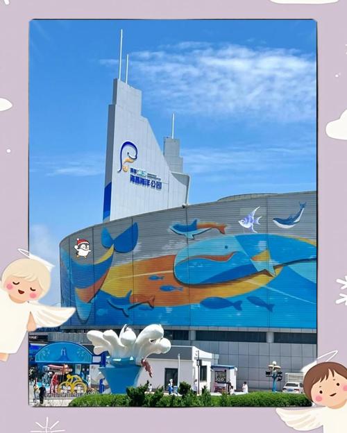 自驾游青岛极地海洋世界-第3张图片-星月文旅