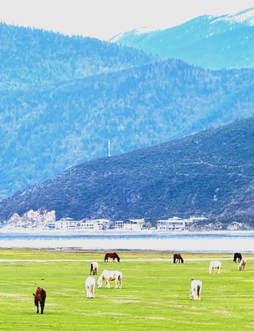 香格里拉必去的旅游景点-第3张图片-星月文旅