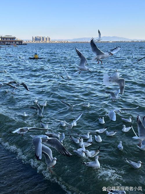 云南昆明旅游景点有哪些-第1张图片-星月文旅
