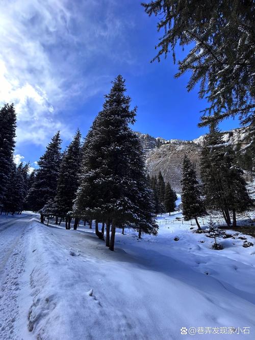 乌鲁木齐有哪些必游景点？-第3张图片-星月文旅
