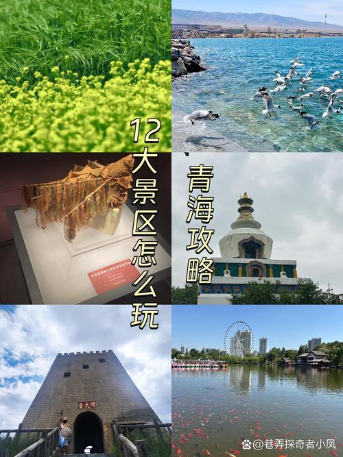 阜阳到青海旅游景点大全-第2张图片-星月文旅