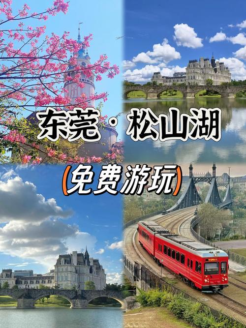 东莞到深圳旅游景点大全-第1张图片-星月文旅