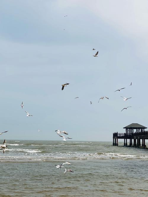 昌黎黄金海岸旅游全攻略-第2张图片-星月文旅