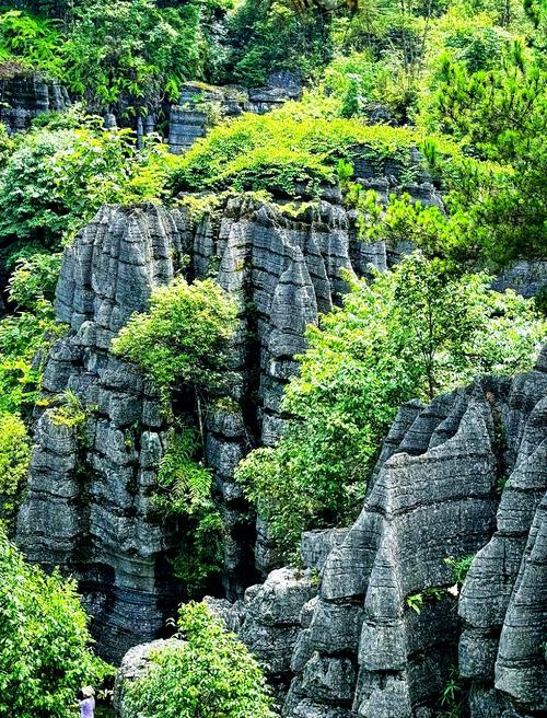 恩施不要门票的旅游景点-第2张图片-星月文旅