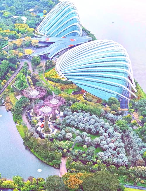 新加坡旅游景点图片大全-第1张图片-星月文旅