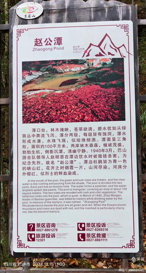 光雾山杜鹃花节怎么玩最尽兴？-第2张图片-星月文旅