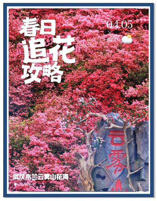 光雾山杜鹃花节怎么玩最尽兴？-第3张图片-星月文旅