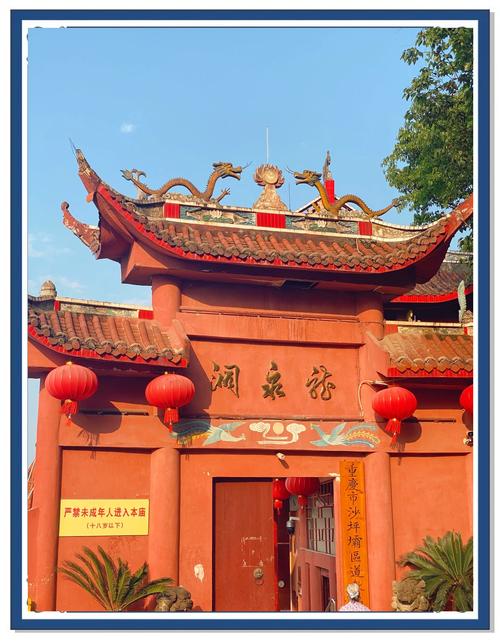 重庆沙坪坝区有哪些必游景点？-第1张图片-星月文旅