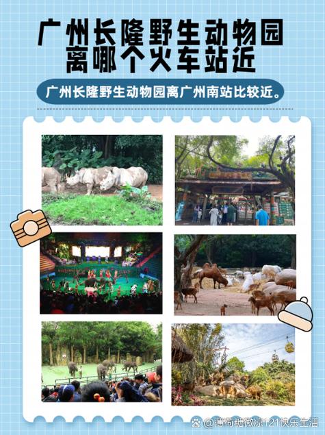 香江野生动物园怎么玩最省时省力？-第1张图片-星月文旅