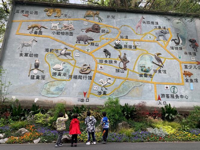 香江野生动物园怎么玩最省时省力？-第2张图片-星月文旅