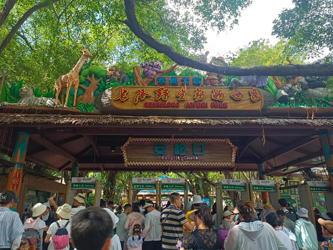 香江野生动物园怎么玩最省时省力？-第3张图片-星月文旅