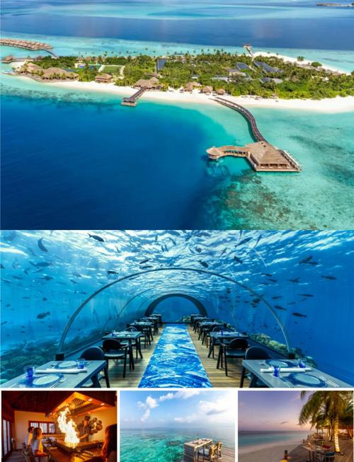 马尔代夫蜜月岛旅游攻略-第2张图片-星月文旅