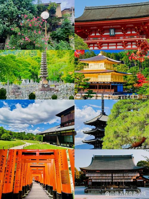 日本四国有哪些必游景点？-第2张图片-星月文旅