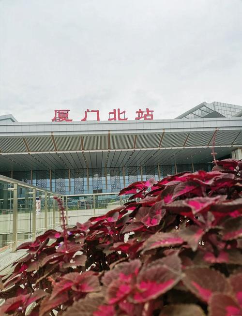 厦门北站周边有哪些值得一逛的景点？-第3张图片-星月文旅