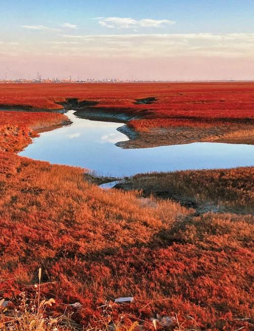 辽宁盘锦红海滩旅游攻略-第1张图片-星月文旅