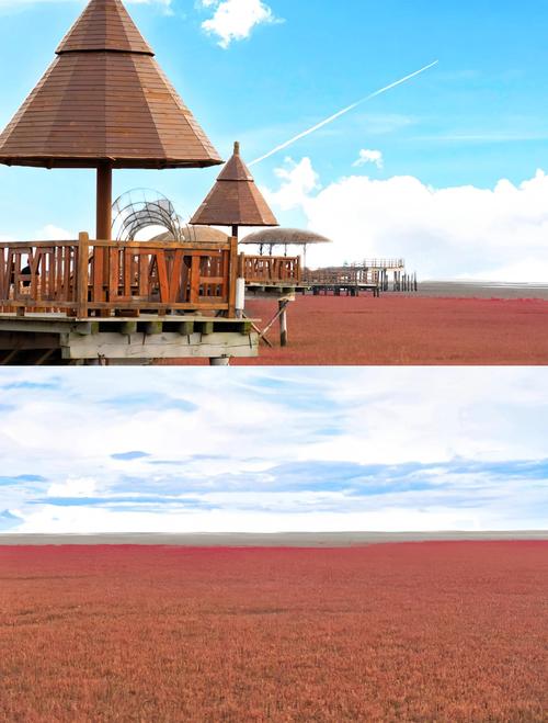 辽宁盘锦红海滩旅游攻略-第2张图片-星月文旅