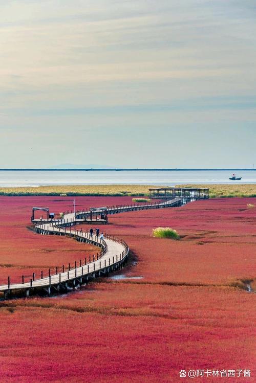 辽宁盘锦红海滩旅游攻略-第3张图片-星月文旅