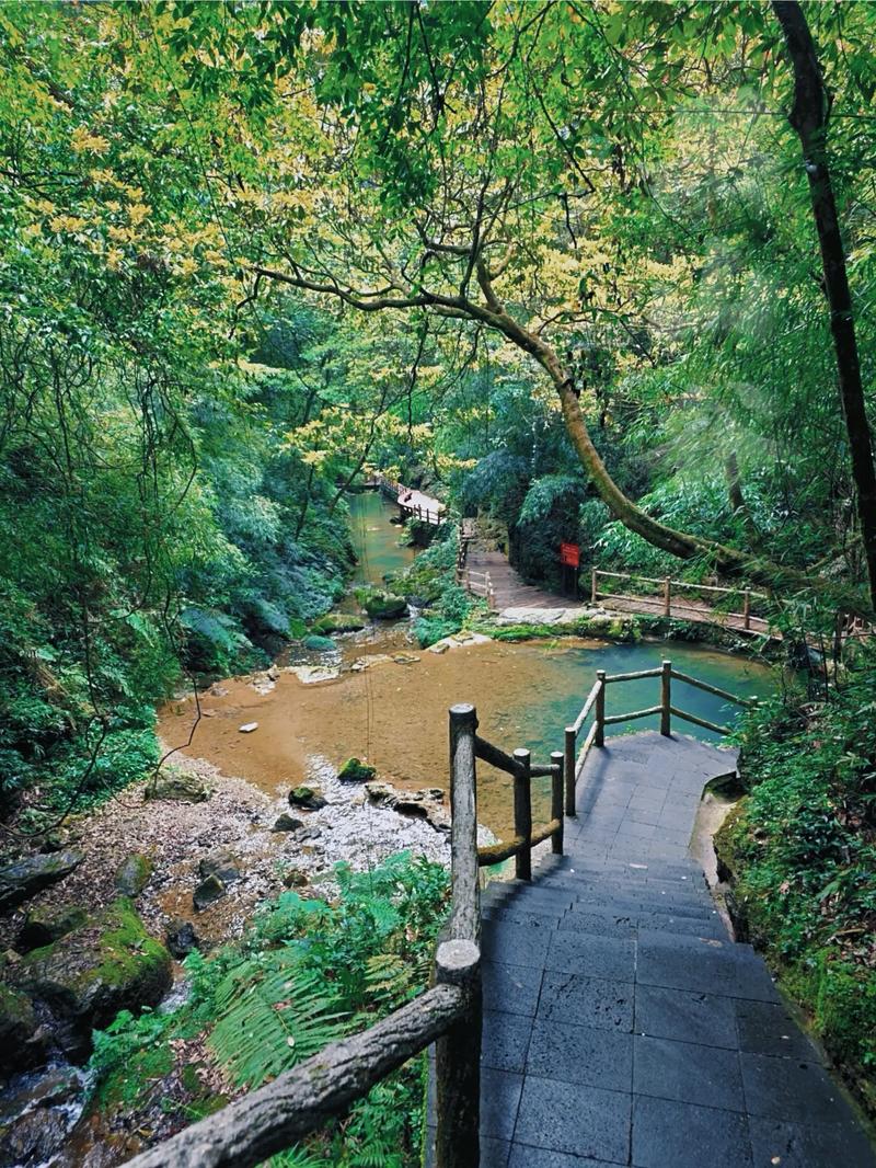 重庆黑山谷自驾怎么玩？攻略有哪些必去？-第1张图片-星月文旅