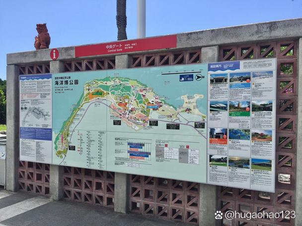 冲绳海洋博公园怎么玩最尽兴？-第1张图片-星月文旅