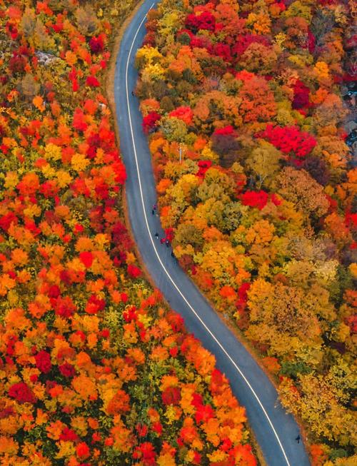 国内旅游景点推荐10月-第1张图片-星月文旅