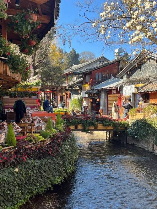 丽江必游景点有哪些？-第2张图片-星月文旅