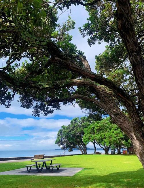 新西兰奥克兰的旅游景点-第3张图片-星月文旅