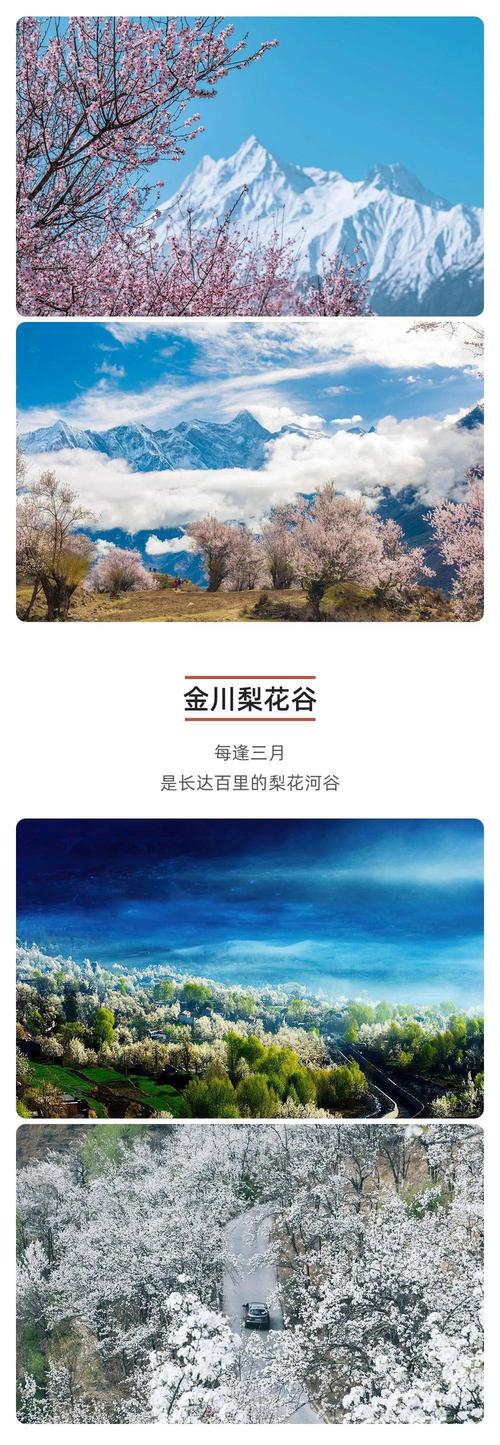 西藏自驾游自驾游攻略-第2张图片-星月文旅