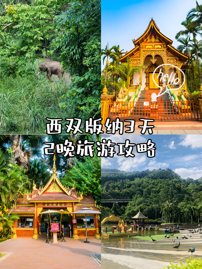西双版纳自助游怎么玩？攻略有哪些？-第2张图片-星月文旅