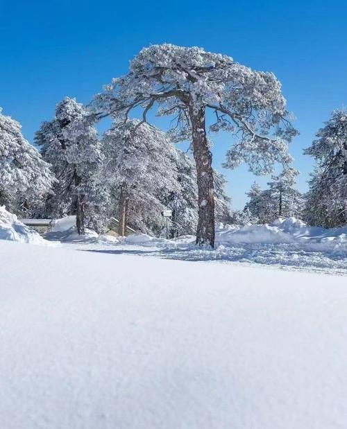 国内冬季去哪玩？有哪些景点值得推荐？-第2张图片-星月文旅