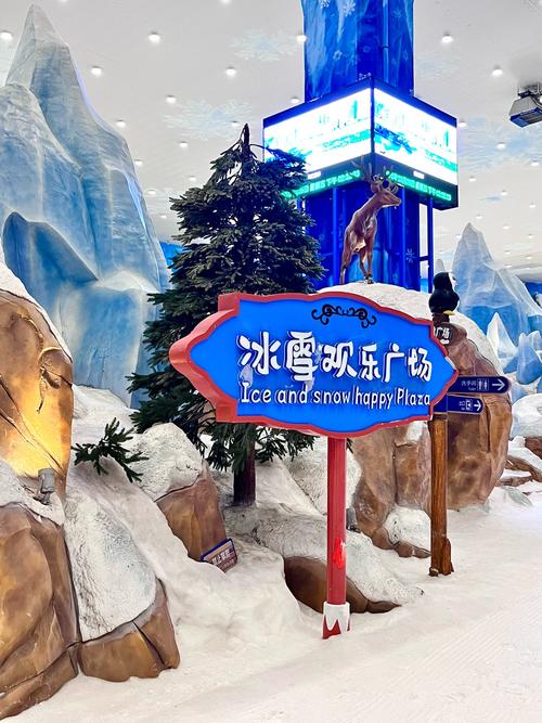 长沙冰雪大世界旅游景点-第2张图片-星月文旅